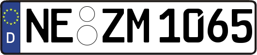 NE-ZM1065