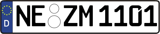 NE-ZM1101