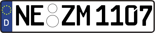 NE-ZM1107