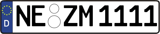 NE-ZM1111