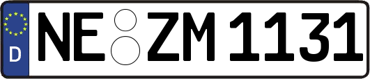 NE-ZM1131