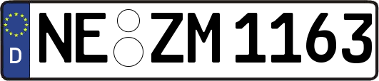 NE-ZM1163