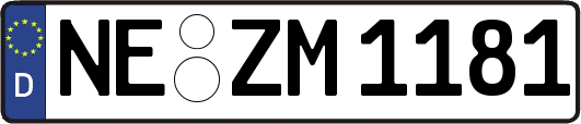NE-ZM1181