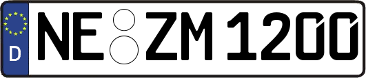 NE-ZM1200