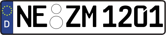 NE-ZM1201