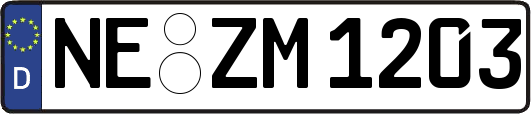 NE-ZM1203