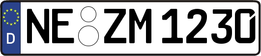 NE-ZM1230