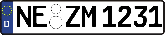 NE-ZM1231
