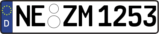 NE-ZM1253