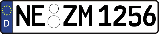 NE-ZM1256