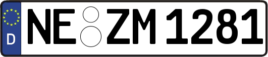 NE-ZM1281