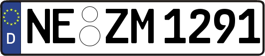 NE-ZM1291