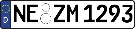 NE-ZM1293