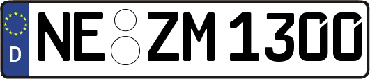 NE-ZM1300