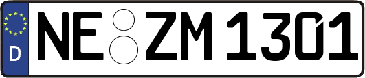 NE-ZM1301