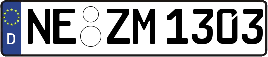 NE-ZM1303