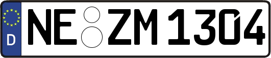 NE-ZM1304