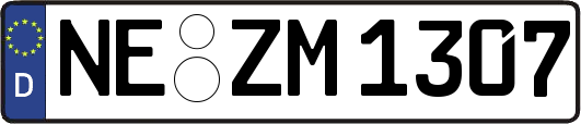 NE-ZM1307