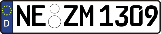 NE-ZM1309
