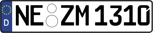 NE-ZM1310