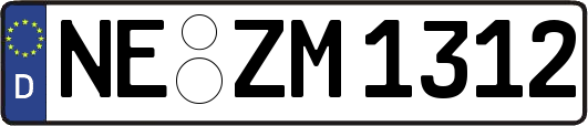 NE-ZM1312