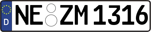NE-ZM1316