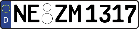 NE-ZM1317