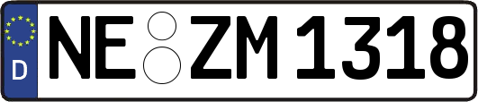 NE-ZM1318