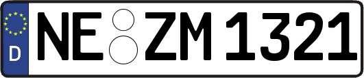 NE-ZM1321
