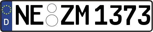 NE-ZM1373