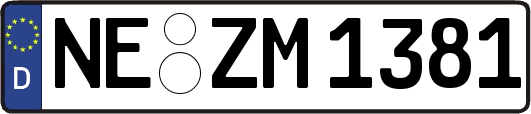 NE-ZM1381