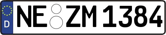 NE-ZM1384