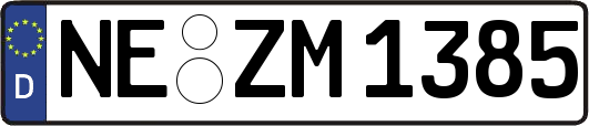 NE-ZM1385
