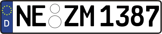 NE-ZM1387