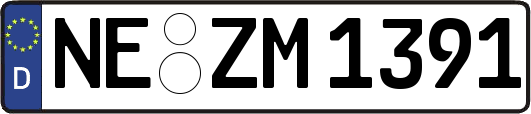 NE-ZM1391