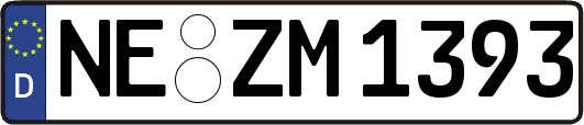 NE-ZM1393
