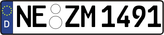 NE-ZM1491