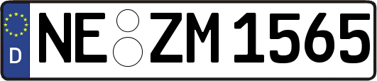 NE-ZM1565