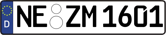 NE-ZM1601
