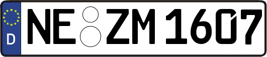 NE-ZM1607