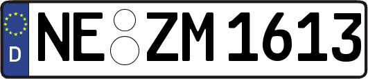 NE-ZM1613