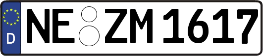 NE-ZM1617
