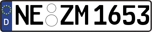 NE-ZM1653