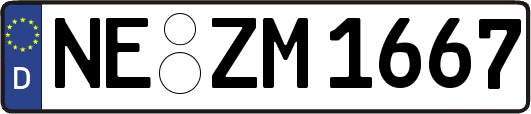NE-ZM1667