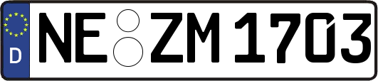 NE-ZM1703