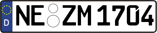 NE-ZM1704