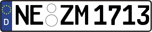 NE-ZM1713