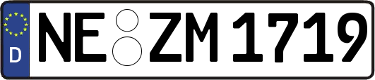 NE-ZM1719