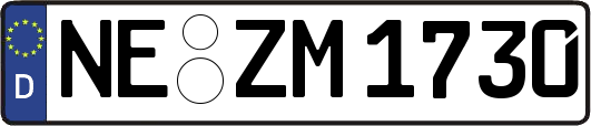 NE-ZM1730