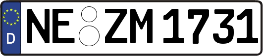 NE-ZM1731